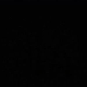 Meet your Posher, Dang